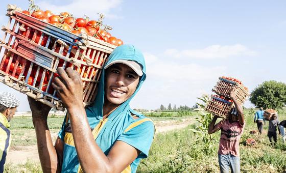 L’ONU alerte sur le fléau grandissant du stress thermique au travail